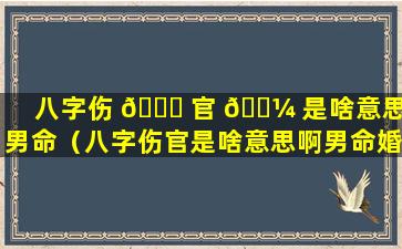 八字伤 🐕 官 🌼 是啥意思啊男命（八字伤官是啥意思啊男命婚姻）